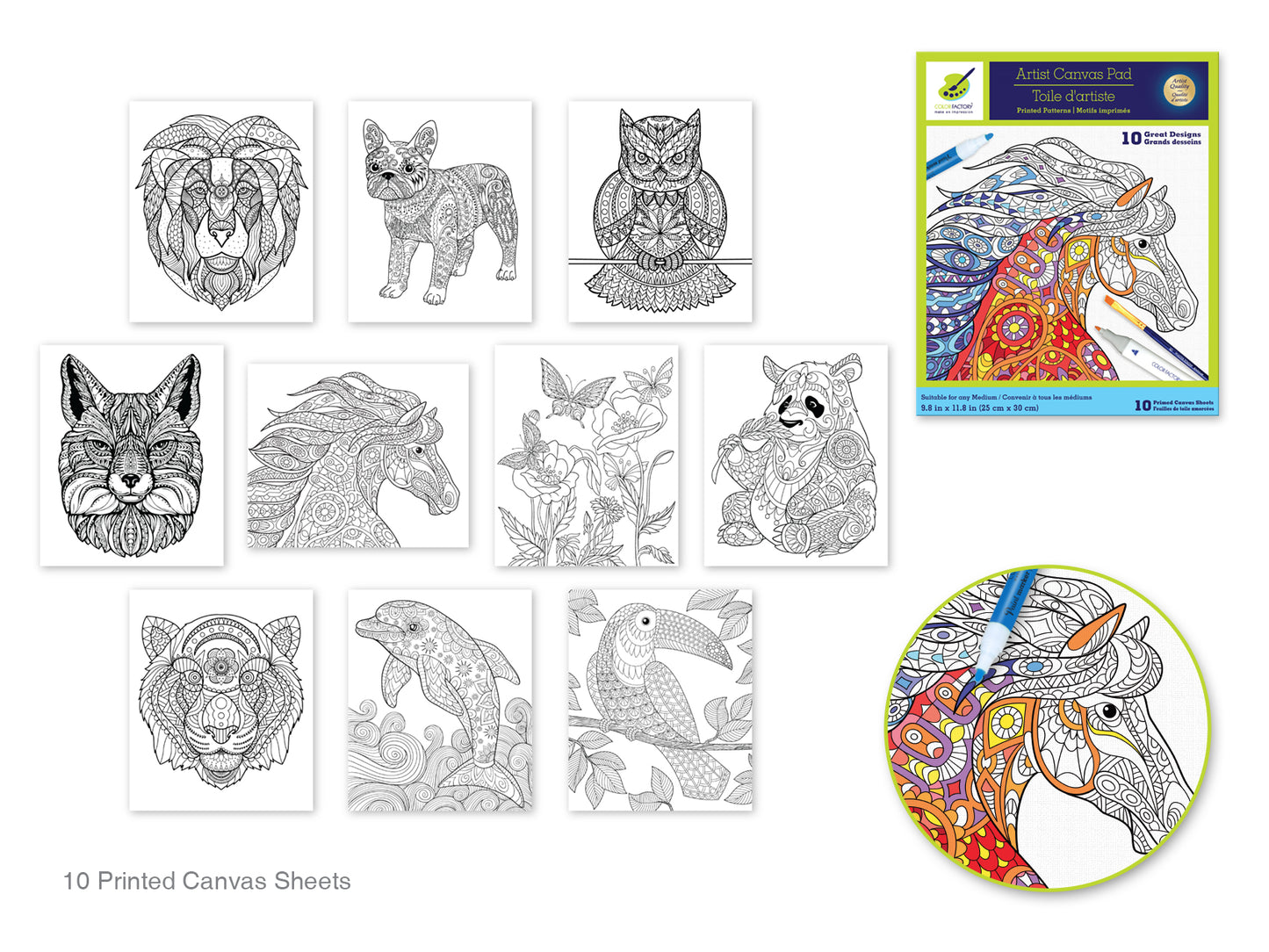 Color Factory: 9.8"x11.8" Canvas Pad w/Design Outlines 10Sheet Asst Animal Kingdom