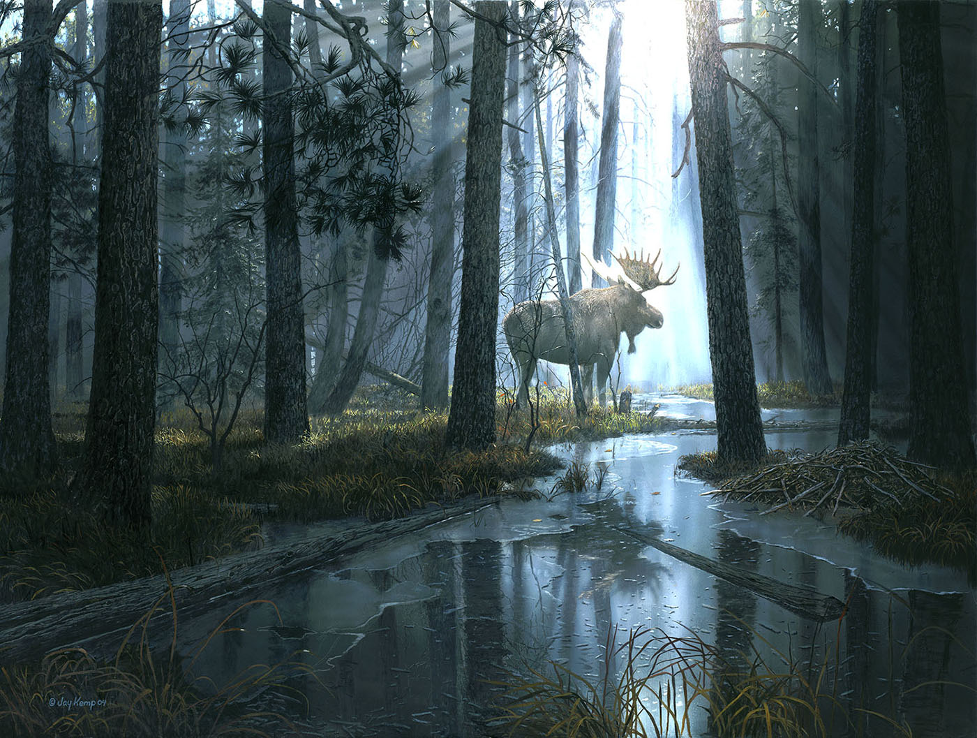 Caught by the Light 300