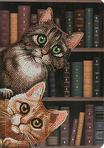 CANJ-19 Notebook : Cats in the Library