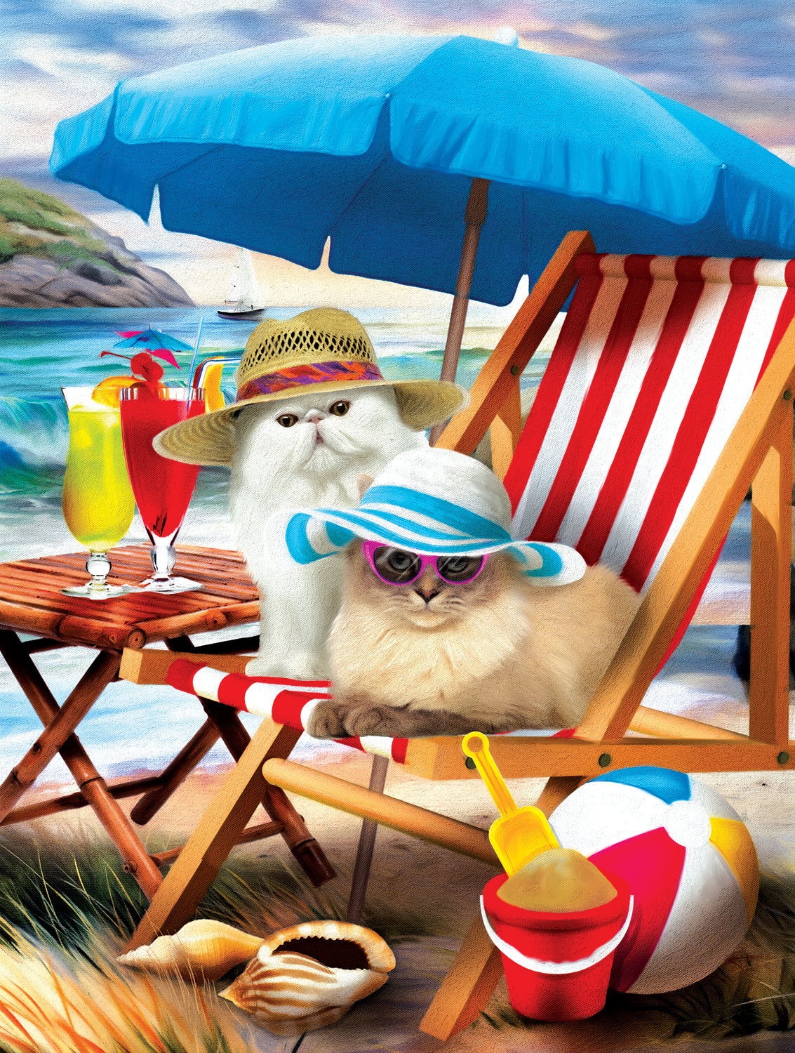 Beach Cats 300
