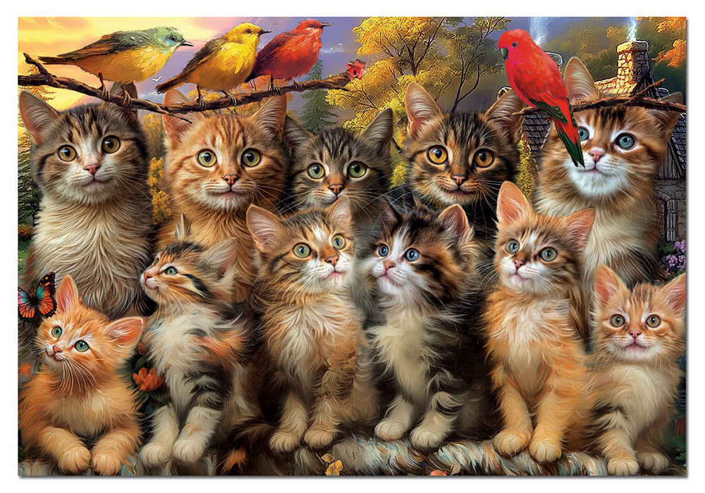 500 pieces puzzle - Kittens and Birds