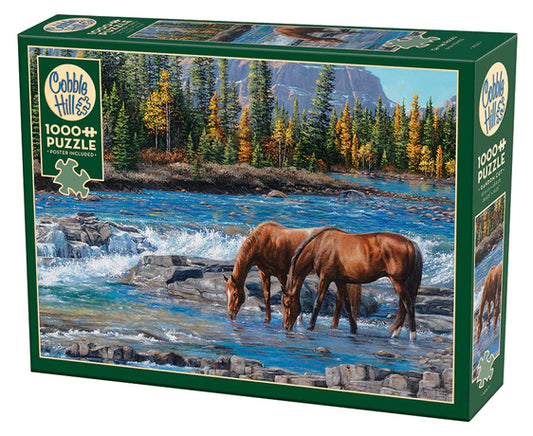 1000pc Puzzle Cobble Hill On the Rocks
