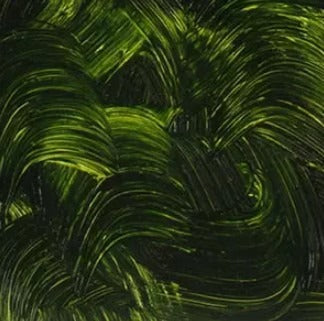 1980 Oil Color, 150ml - Sap Green