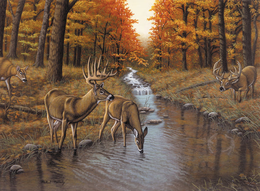Adult Painting By Numbers, Large - Symond's Creek