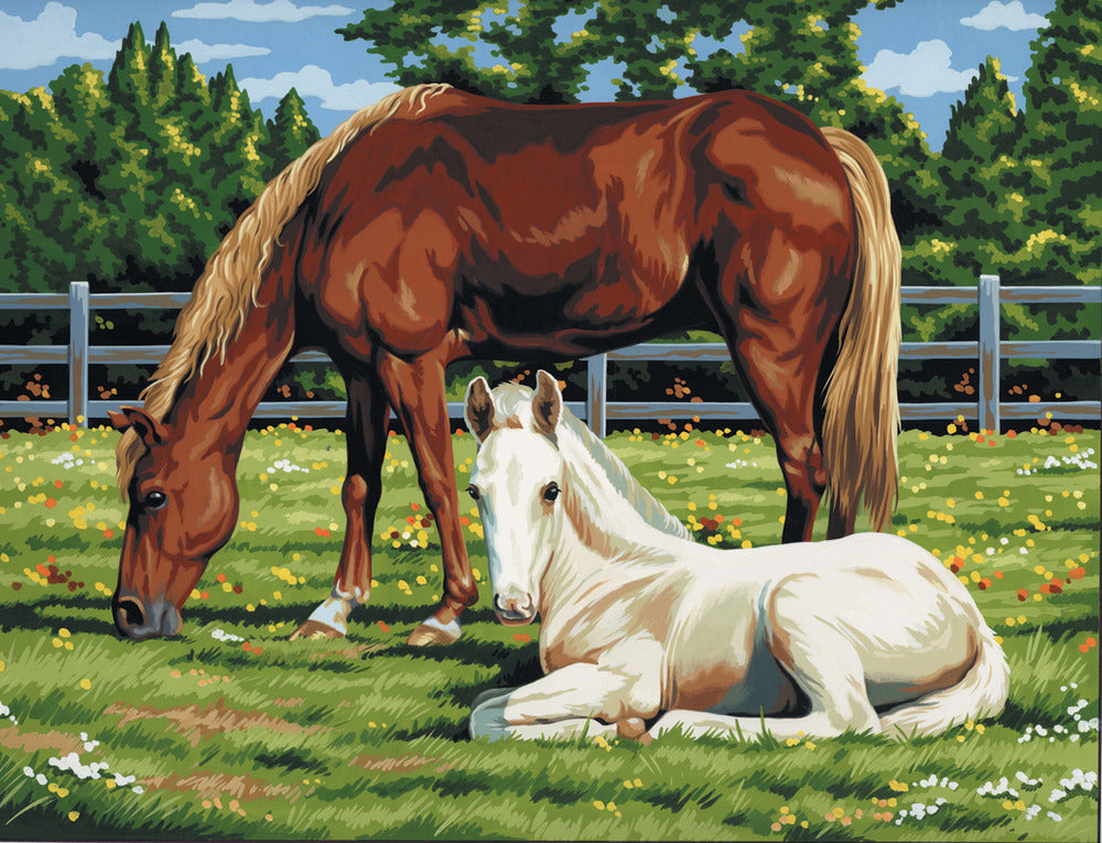 Painting By Number Artist Canvas Series, Large - Horses in Field