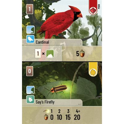 Forest Shuffle: Exploration