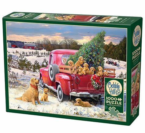 1000pc Puzzle Cobble Hill Family Outing