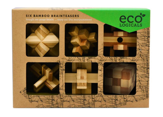 Logic Puzzle - Ecologicals (6 pack)