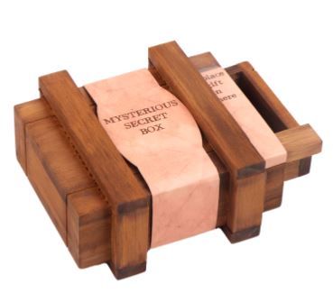 Logic Puzzle - True Genius - Sorcerer's Box