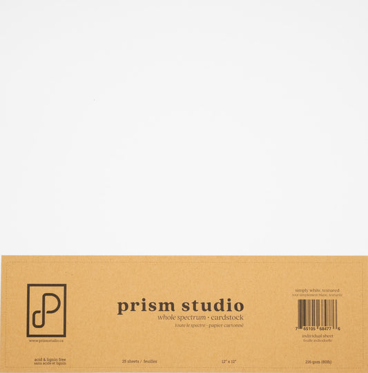 12X12 Whole Spectrum Textured Cardstock, 80lb - Simply White (25 Sheets)