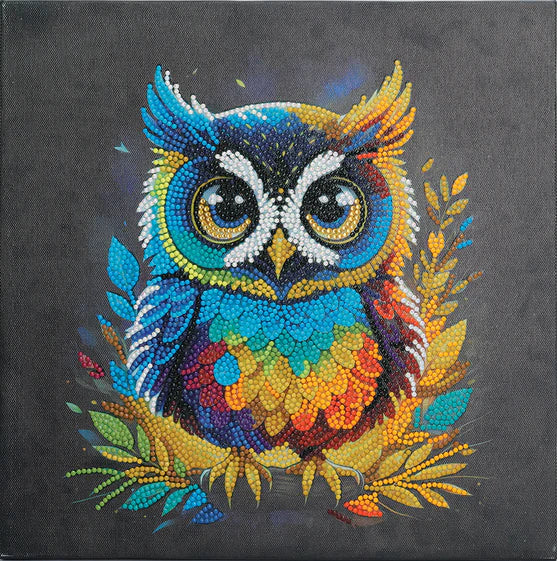 OWL FRAMED CANVAS KIT