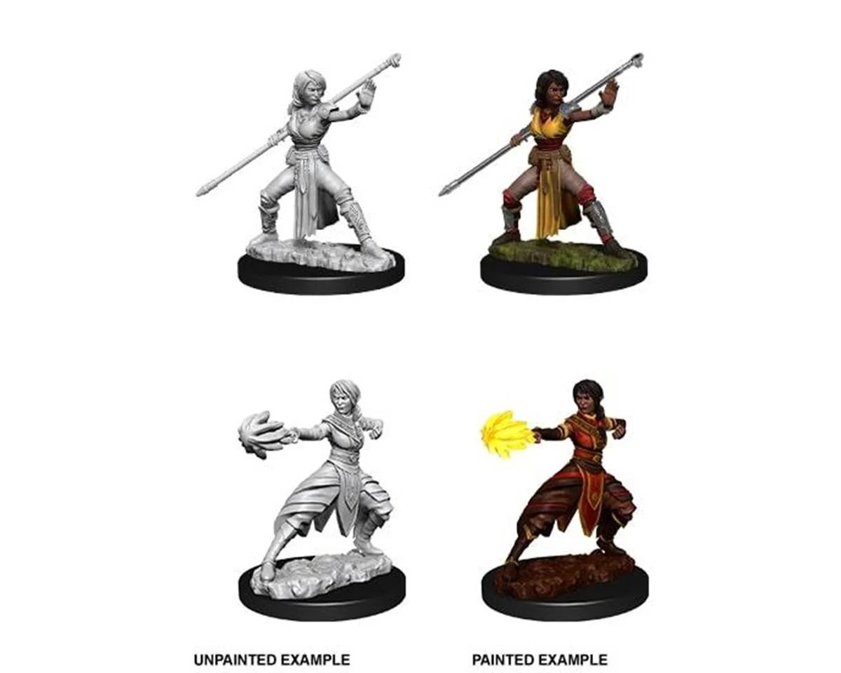 Wizkids D&D Minis 73839 Half-Elf Monk Female