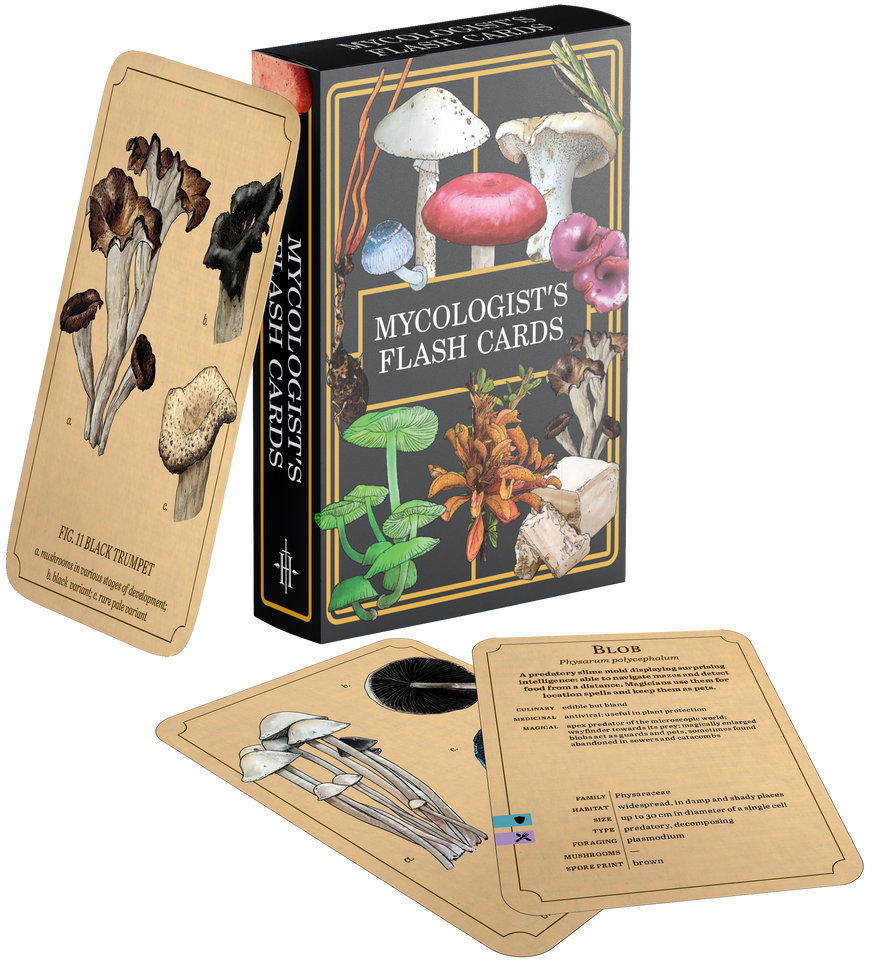 MYCOLOGIST’S PRIMER FLASH CARDS