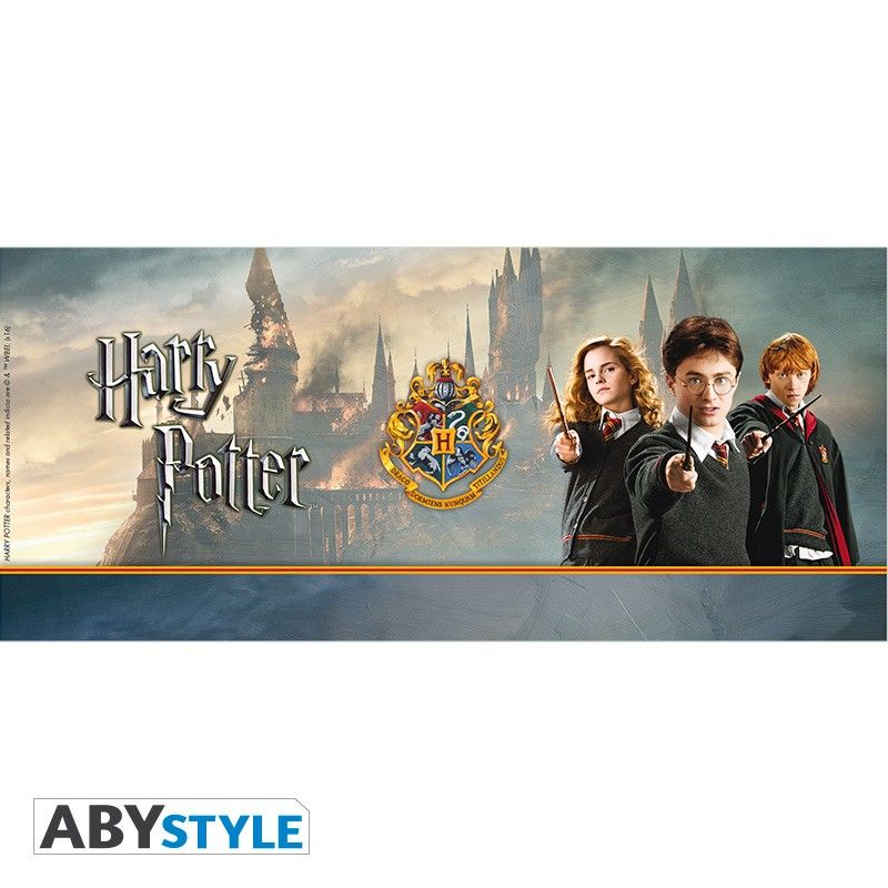 HARRY POTTER MUG 320ML HARRY N CO SUBLI W/ BOX