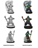 DND UNPAINTED MINIS WV5 WATER GENASI MALE DRUID