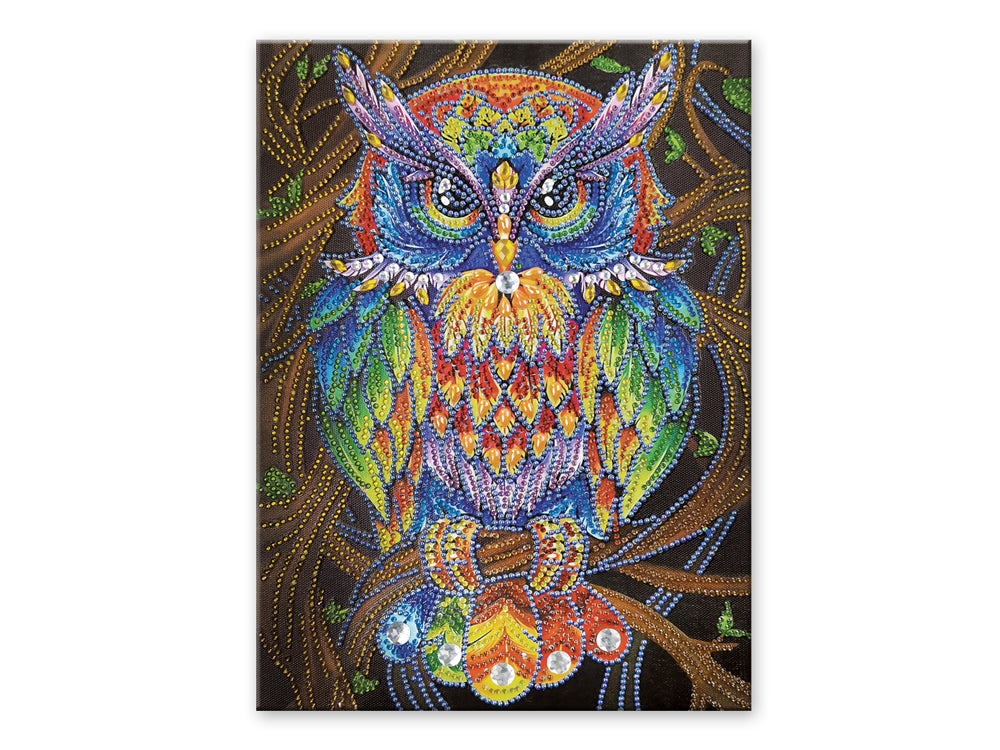 Craft Medley Diamond Painting Canvas Art Kit-Owl on a Branch