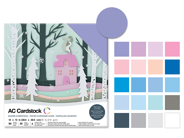 Scrapbook Cardstock: 12"x12" 80lb (216gsm) Textured F) Winter