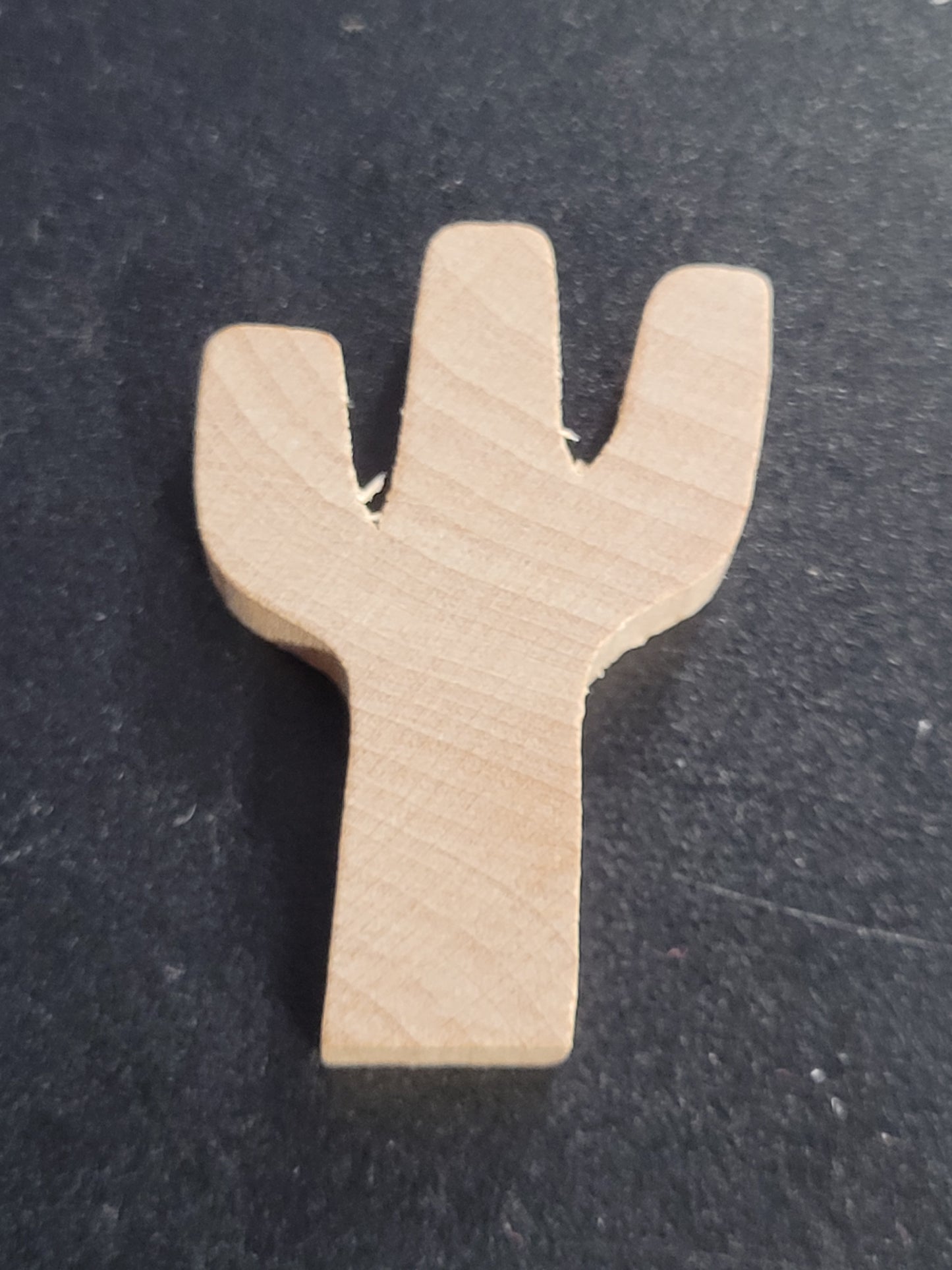 Chunkies 3/16"thick Cactus