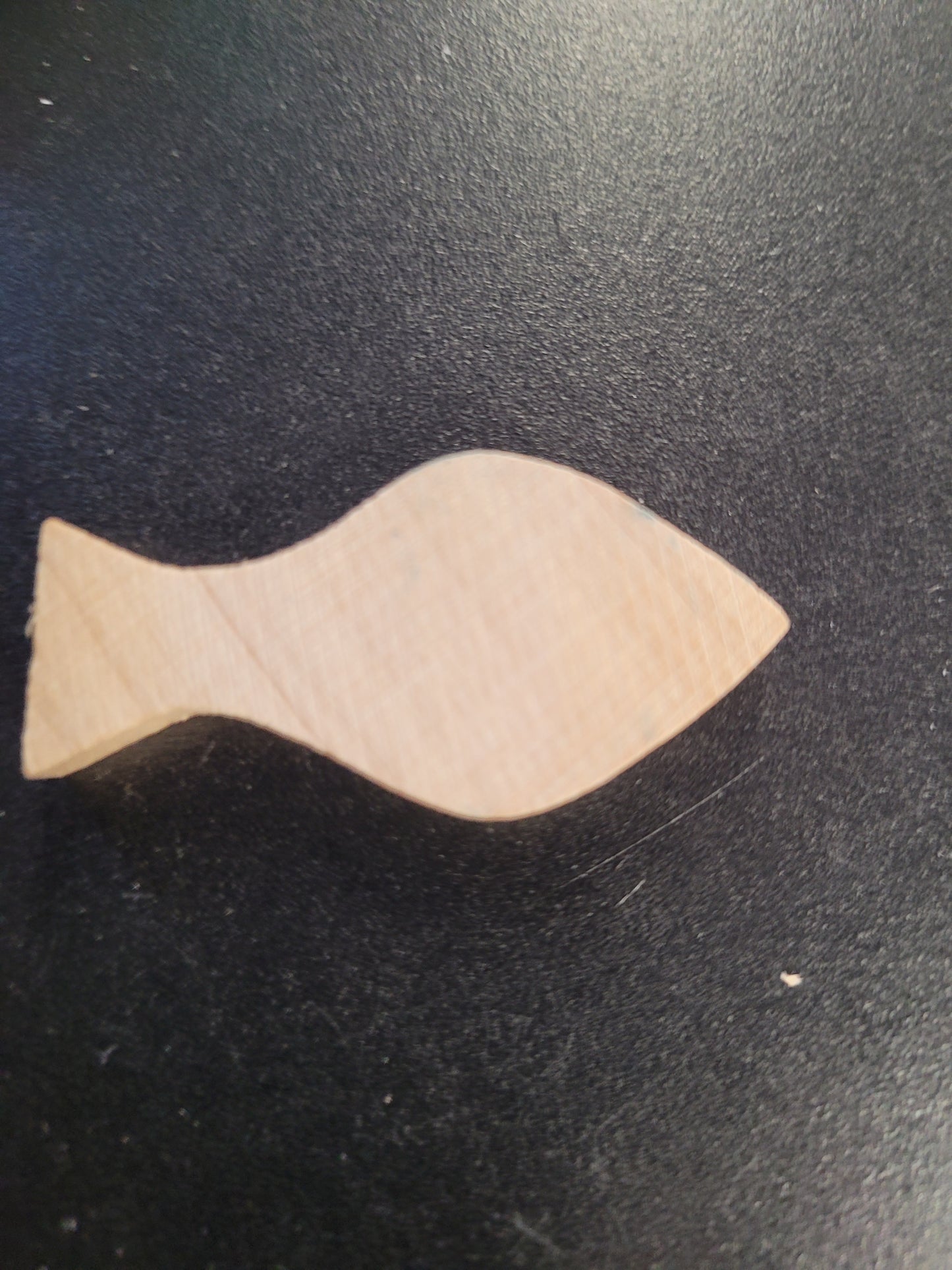 Chunkies 3/16"thick Fish