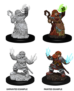 Wizkids Pathfinder Minis 73543 Female Dwarf Summoner