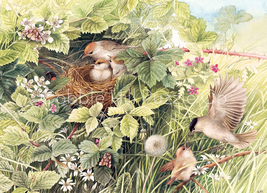 1000pc Puzzle Cobble Hill Hidden Nest