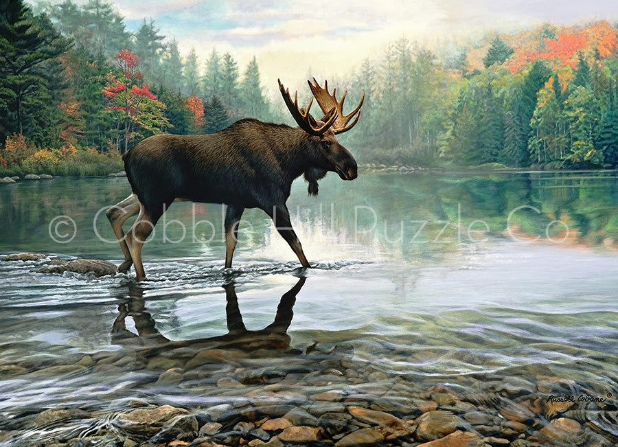 1000pc Puzzle Cobble Hill Moose Crossing