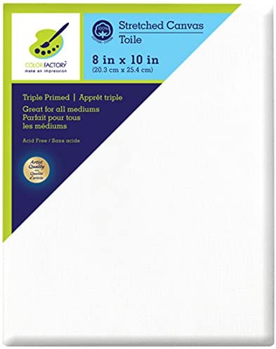 Color Factory 8inx10in Primed Stretch Artist Canvas