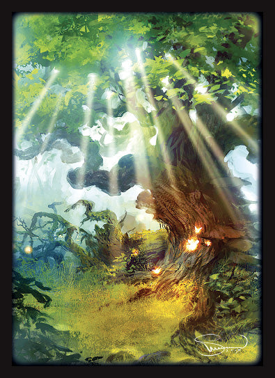 Legion Standard SLEEVE - VELINOV FOREST 50ct