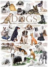 Cobble Hill 1000pc Puzzle: Dog Quotes