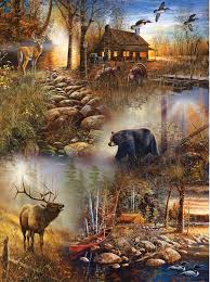 Forest Collage