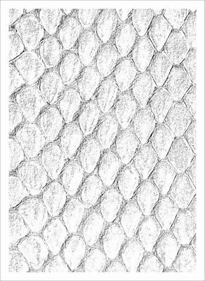 White Dragon Hide Deck Protectors Sleeves MTG Colors Scale