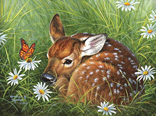 Natural Tranquility 1000