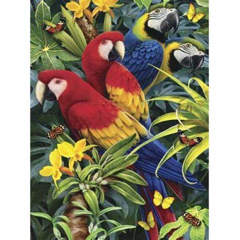Majestic Macaws Paint by Number