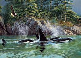 Cobble Hill 1000pc Puzzle - Orcas