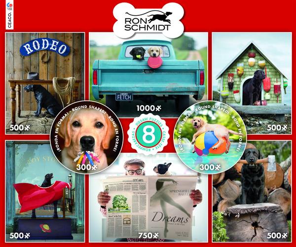 RON SCHMIDT 8 IN 1 PUZZLE SET