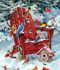 Adirondack Birds 1000pc puzzle