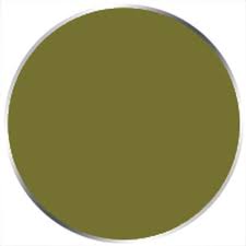 P3 Paints: Battledress Green 93060