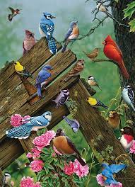 Cobble Hill 1000pc Puzzle - Birds of the Forest