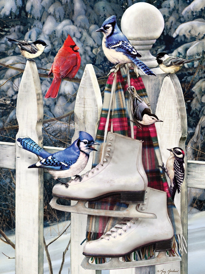 Birds with Skates 500pc