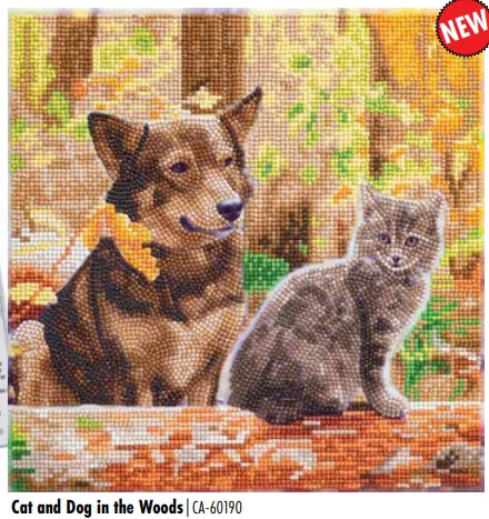 CAK-A180M CAT & DOG IN THE WOODS FRAMED CANVAS KIT
