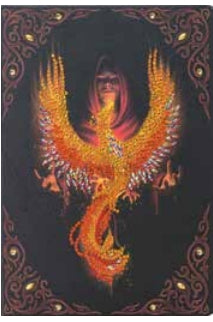 CANJ-9 Notebook : Phoenix Rising