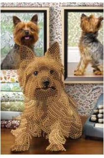 CANJ-03 Notebook : Cute Dog