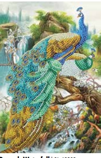 CANJ-17 Notebook : Peacock