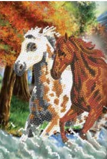 CANJ-04 Notebook : Wild Horses