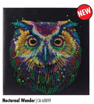 CAK-A3030M Nocturnal Wonder FRAMED CANVAS KIT