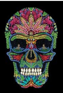 CANJ-4 Notebook : Skull
