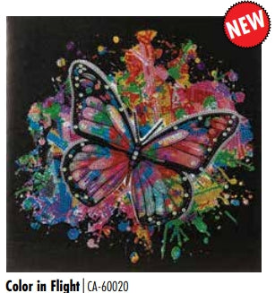 CAK-A3030M-09 Colour in Flight FRAMED CANVAS KIT