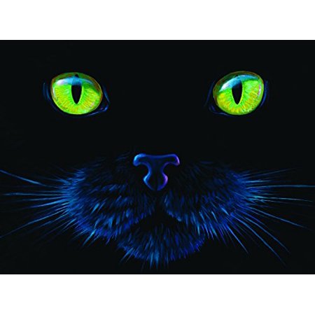BLACK CAT 1000 PIECE JIGSAW PUZZLE – SUNSOUT