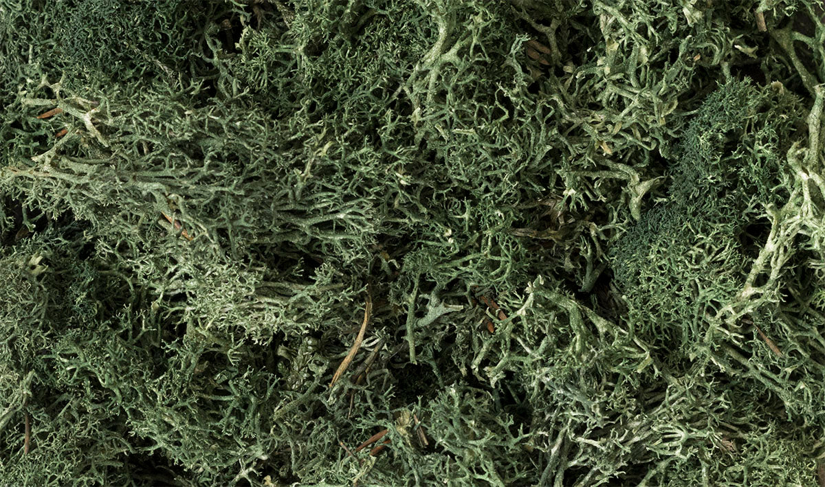 Woodland Scenics Lichen - Dark Green
