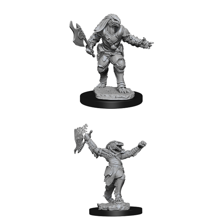 Nolzur's Marvelous Miniatures: Female Dragonborn Fighter